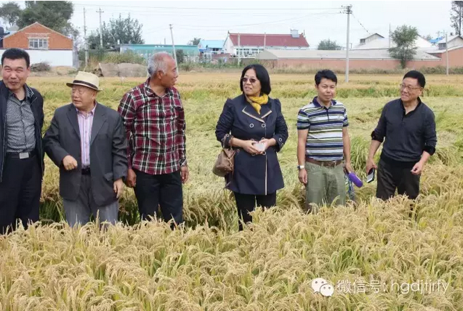 哈爾濱工大集團(tuán)沈陽津瑞肥業(yè)有限公司