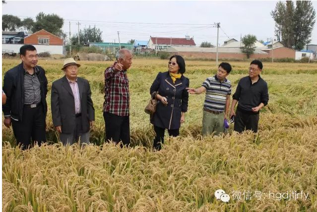 哈爾濱工大集團(tuán)沈陽津瑞肥業(yè)有限公司
