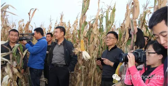 哈爾濱工大集團(tuán)沈陽津瑞肥業(yè)有限公司
